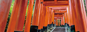 Mini Tours & Esperienze