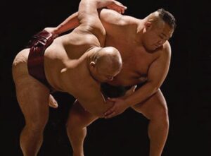 Sumo Show